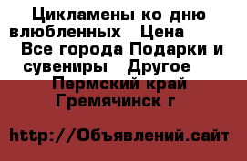 Цикламены ко дню влюбленных › Цена ­ 180 - Все города Подарки и сувениры » Другое   . Пермский край,Гремячинск г.